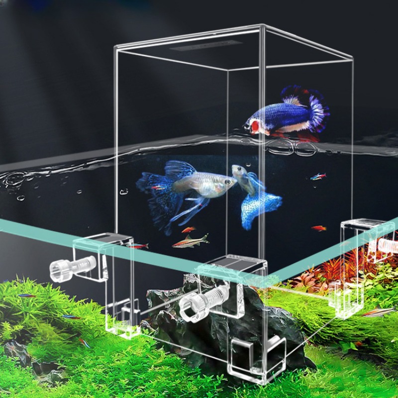 Aquarium Fish Jar - Creative Aquarium Tanks Negative Pressure Fish