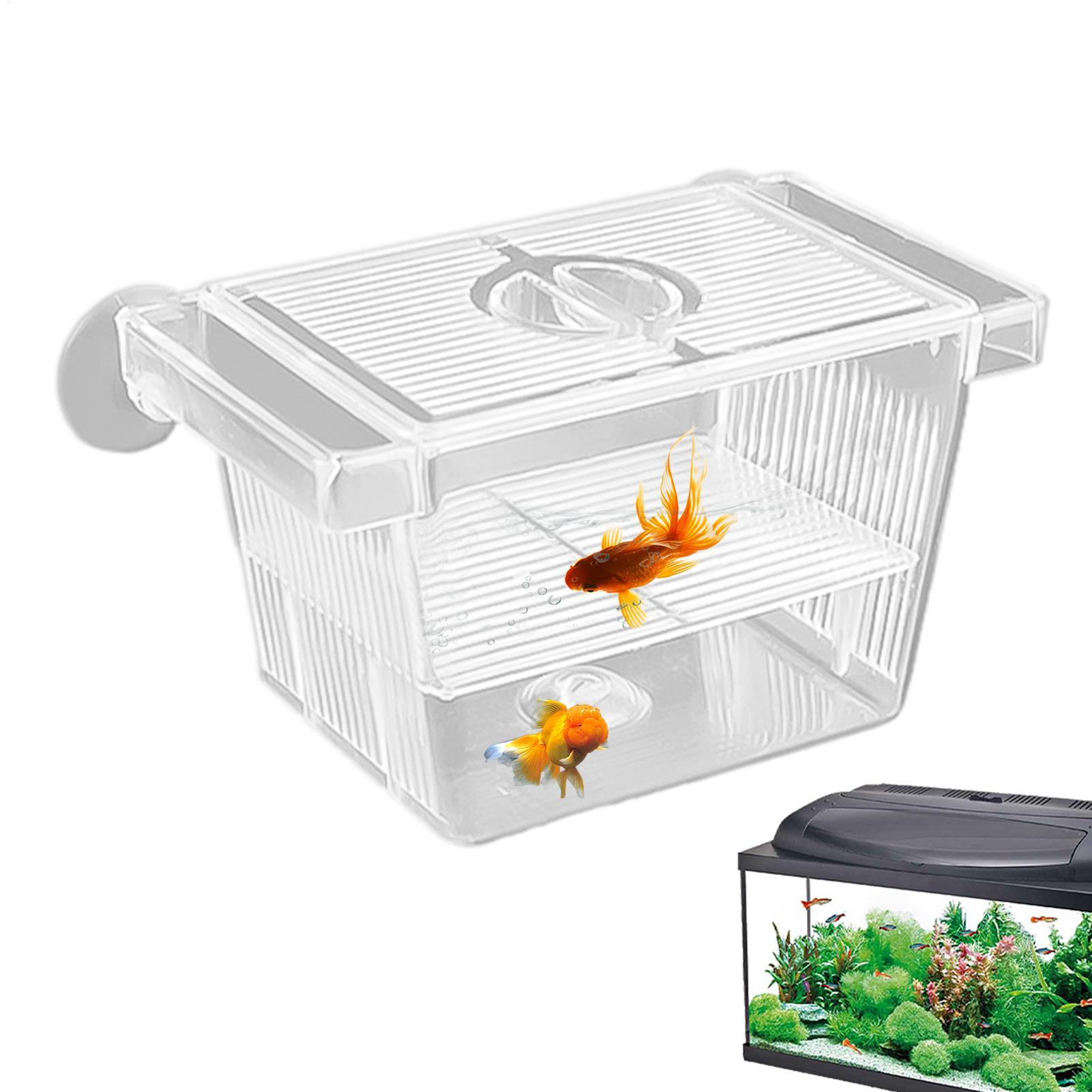 Aquarium Fish Jar - Aquarium Hatchery Acrylic Isolation Box Breeding