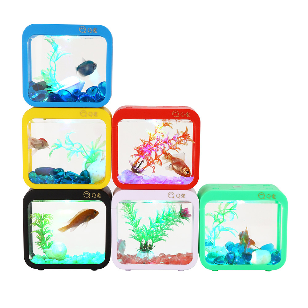 Colorful Creative Betta Box Wi - Aquarium Fish Jar review and price