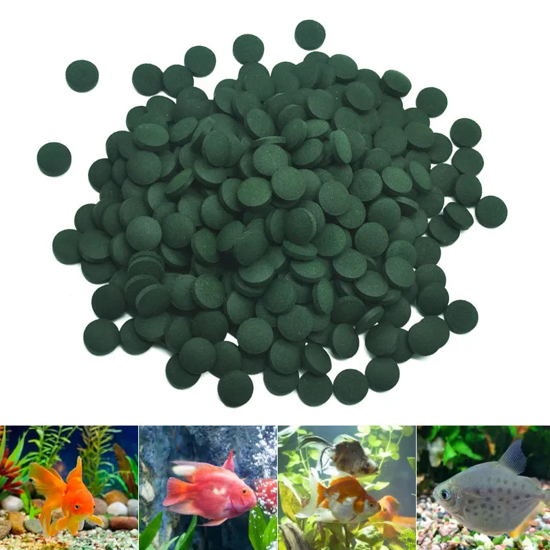 100-3000pc High Purity Spiruli - Aquarium Fish Holiday Food review and price