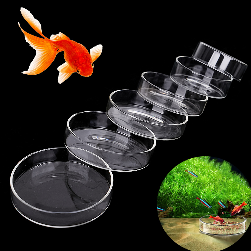 Aquarium Feeding Bowl Fish Tan - Aquarium Fish Holiday Food review and price
