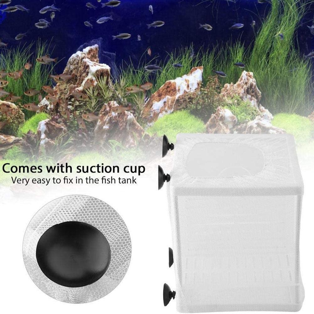 Aquarium Fish Breeder Box with - Aquarium Fish Jar review and price
