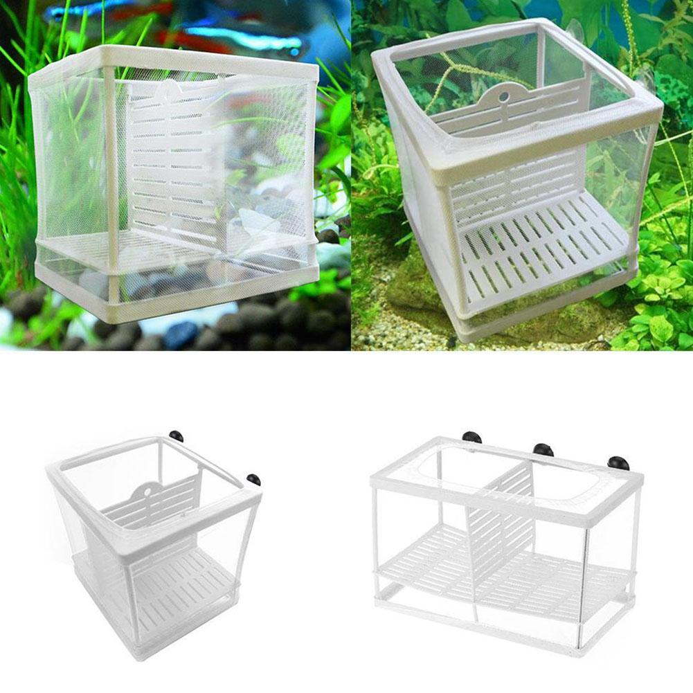 Aquarium Fish Breeder Box with - Aquarium Fish Jar review and price