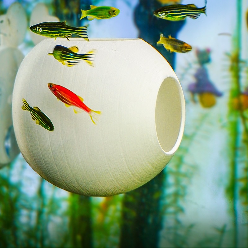 Aquarium Creative Ornament 3D  - Aquarium Fish Parrot review and price