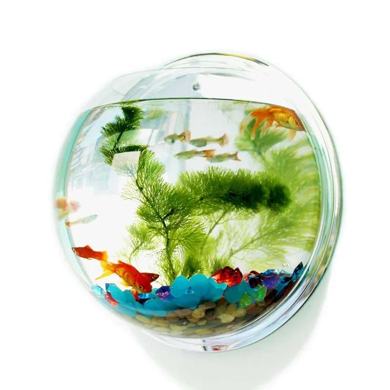 Pinsjar Acrylic Fish Bowl Wall - Aquarium Fish Jar review and price