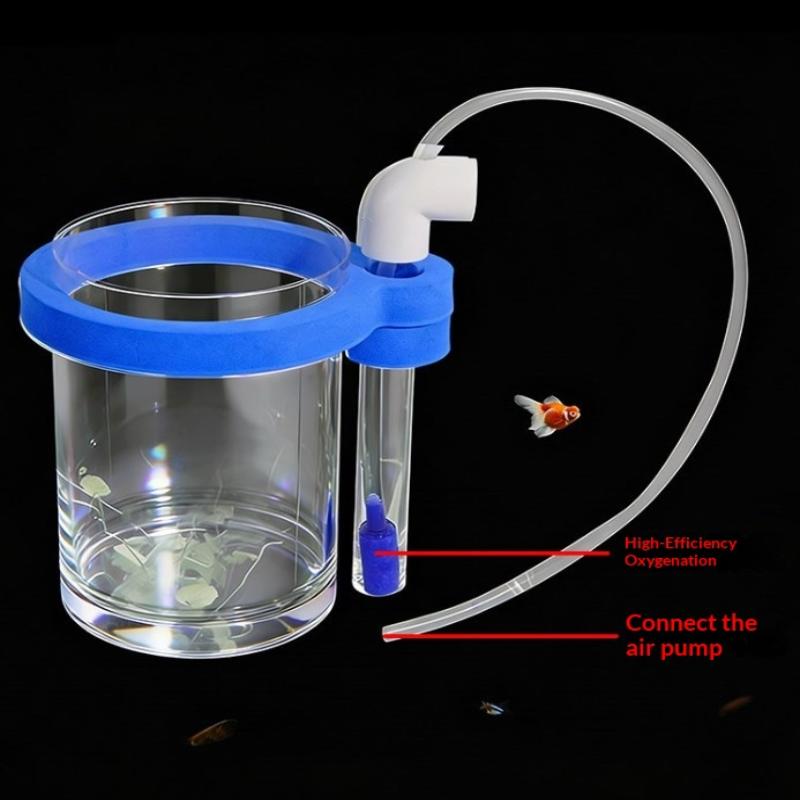 Transparent Acrylic Fish Breed - Aquarium Fish Jar review and price