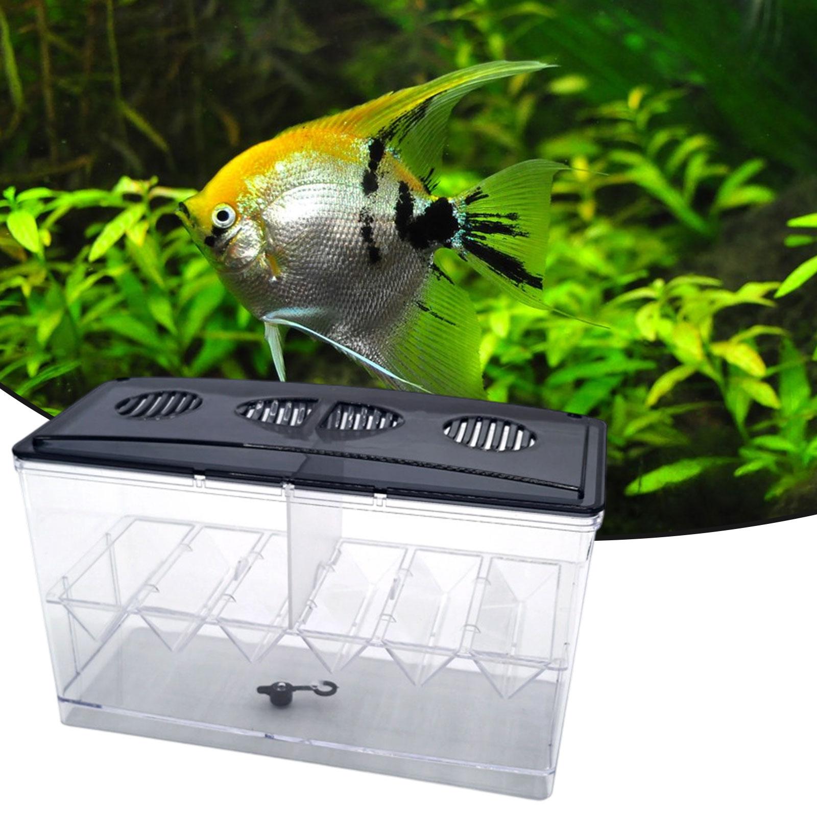 Floating Fish Breeding Isolati - Aquarium Fish Jar review and price