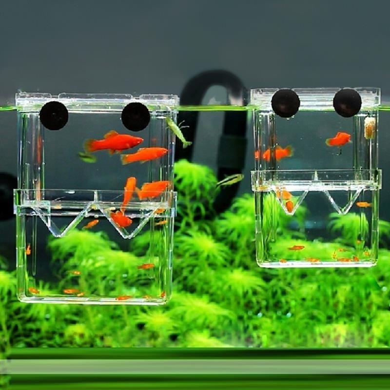 Multifunctional Fish Aquarium  - Aquarium Fish Jar review and price