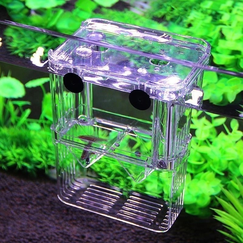 Multifunctional Fish Aquarium  - Aquarium Fish Jar review and price