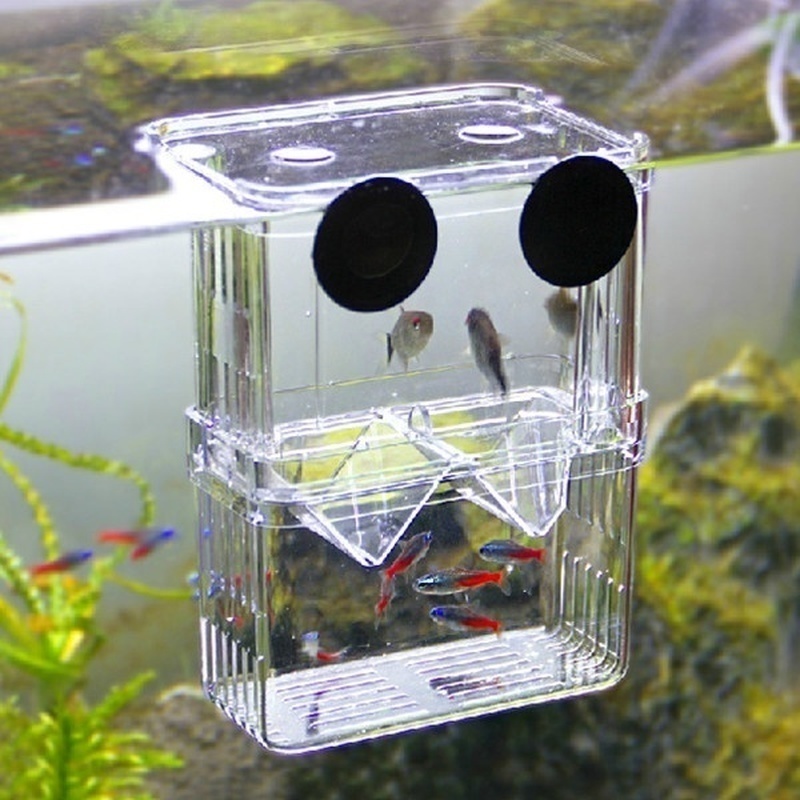 Multifunctional Fish Aquarium  - Aquarium Fish Jar review and price