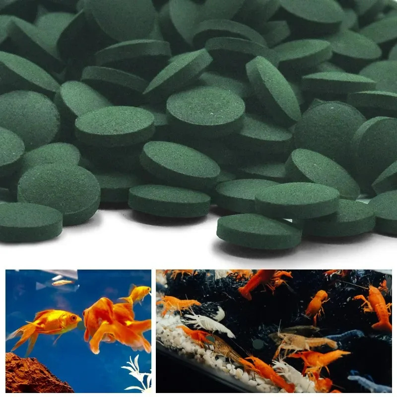 50/100/300/500pcs Spirulina Ta - Aquarium Fish Holiday Food review and price