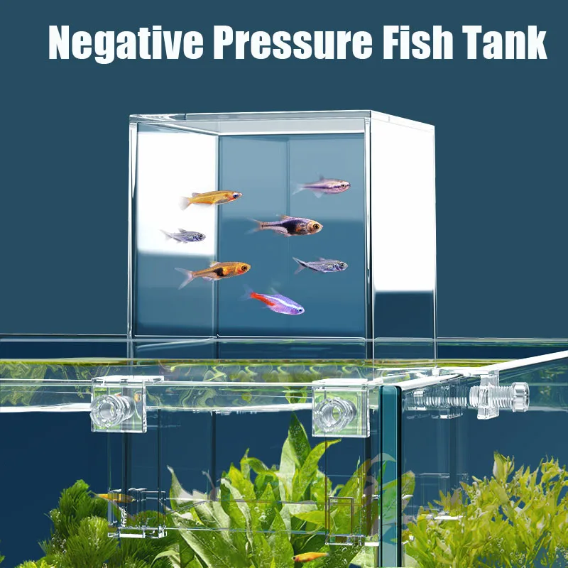 Creative Aquarium Tanks Negati - Aquarium Fish Jar review and price