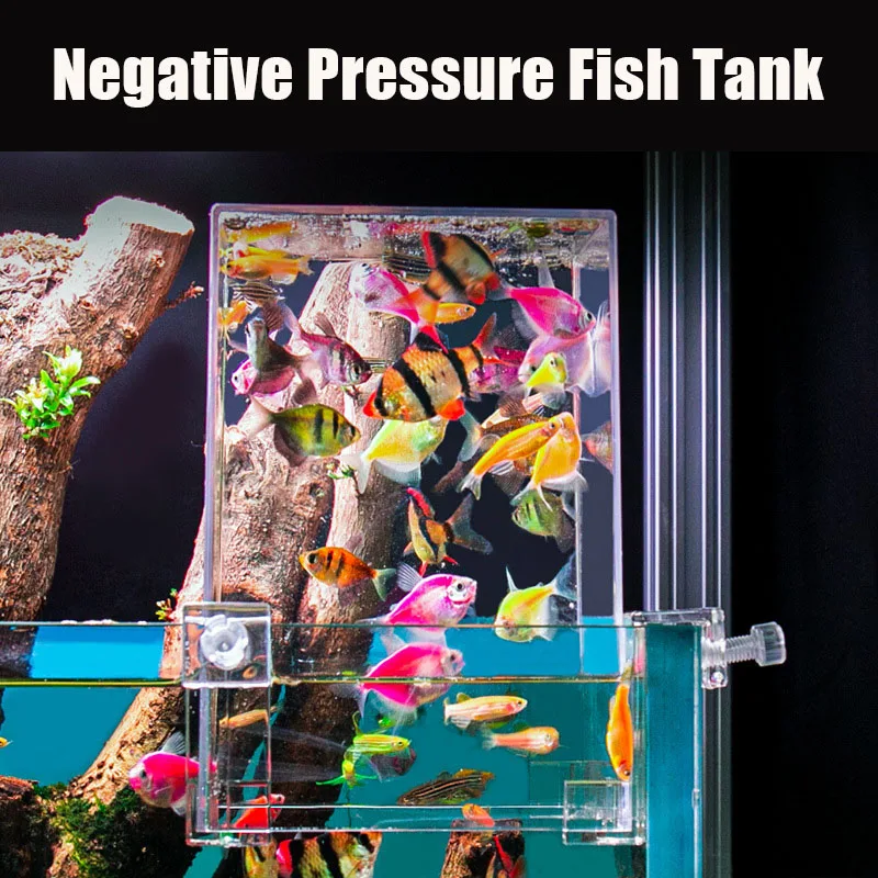 Creative Aquarium Tanks Negati - Aquarium Fish Jar review and price