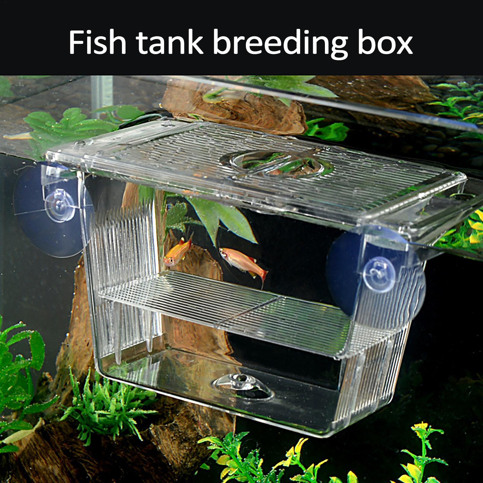 Breeder Box for Fish Tank Tran - Aquarium Fish Jar review and price