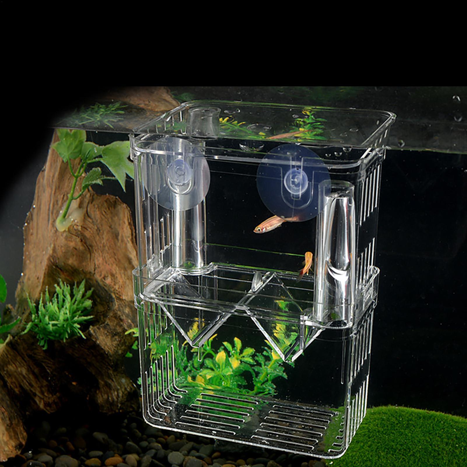 Breeder Box for Fish Tank Tran - Aquarium Fish Jar review and price