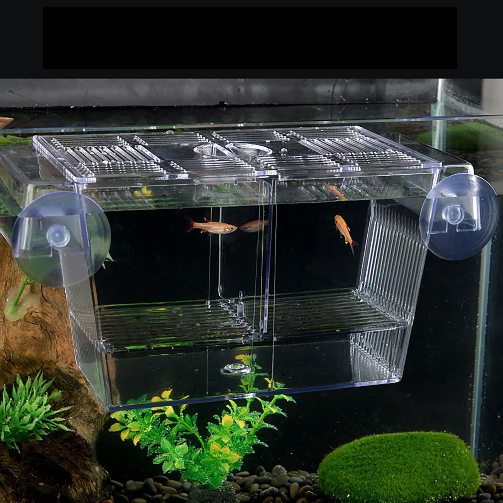 Breeder Box for Fish Tank Tran - Aquarium Fish Jar review and price
