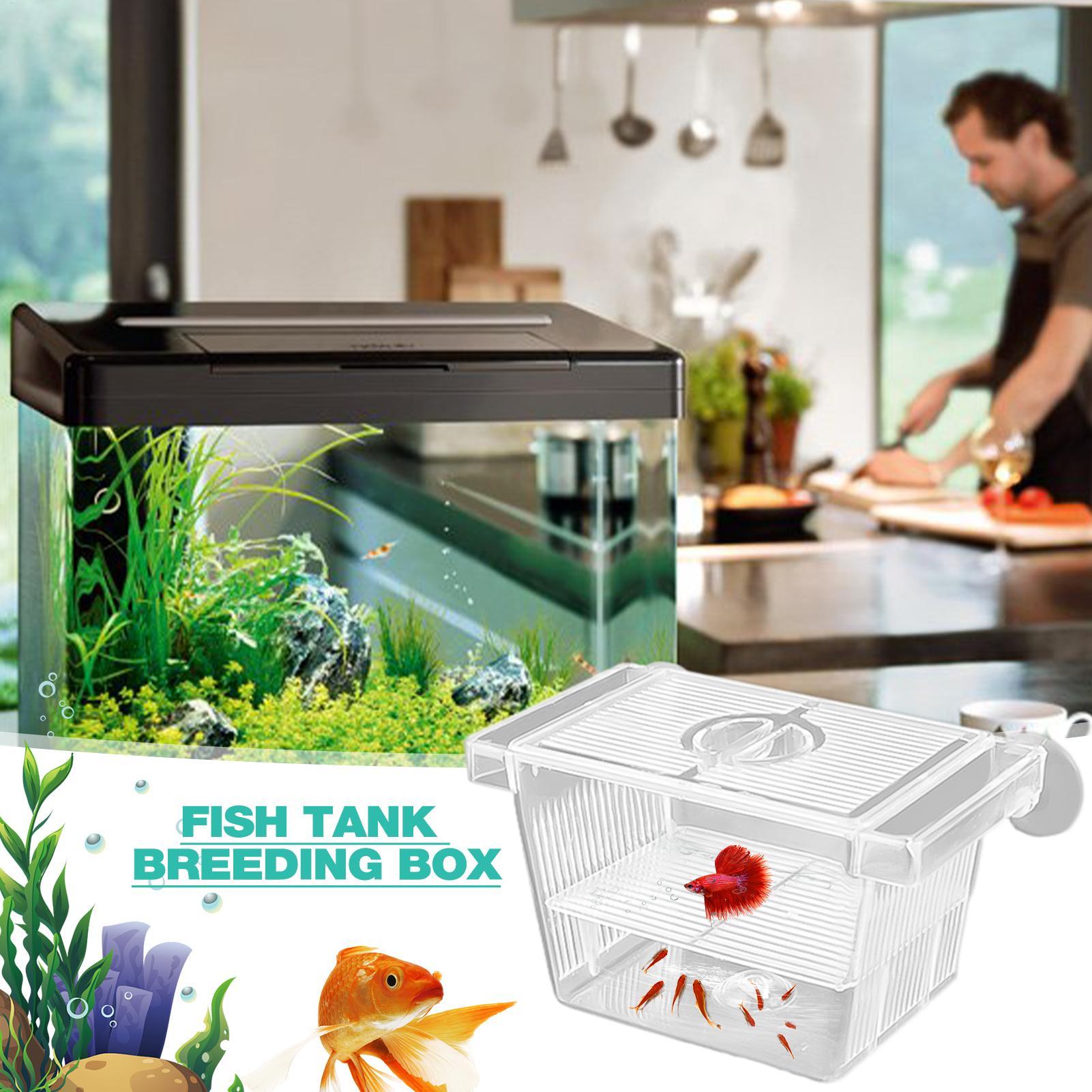 Aquarium Hatchery Acrylic Isol - Aquarium Fish Jar review and price
