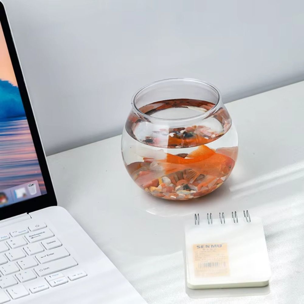 New Transparent Fish Tank Roun - Aquarium Fish Jar review and price