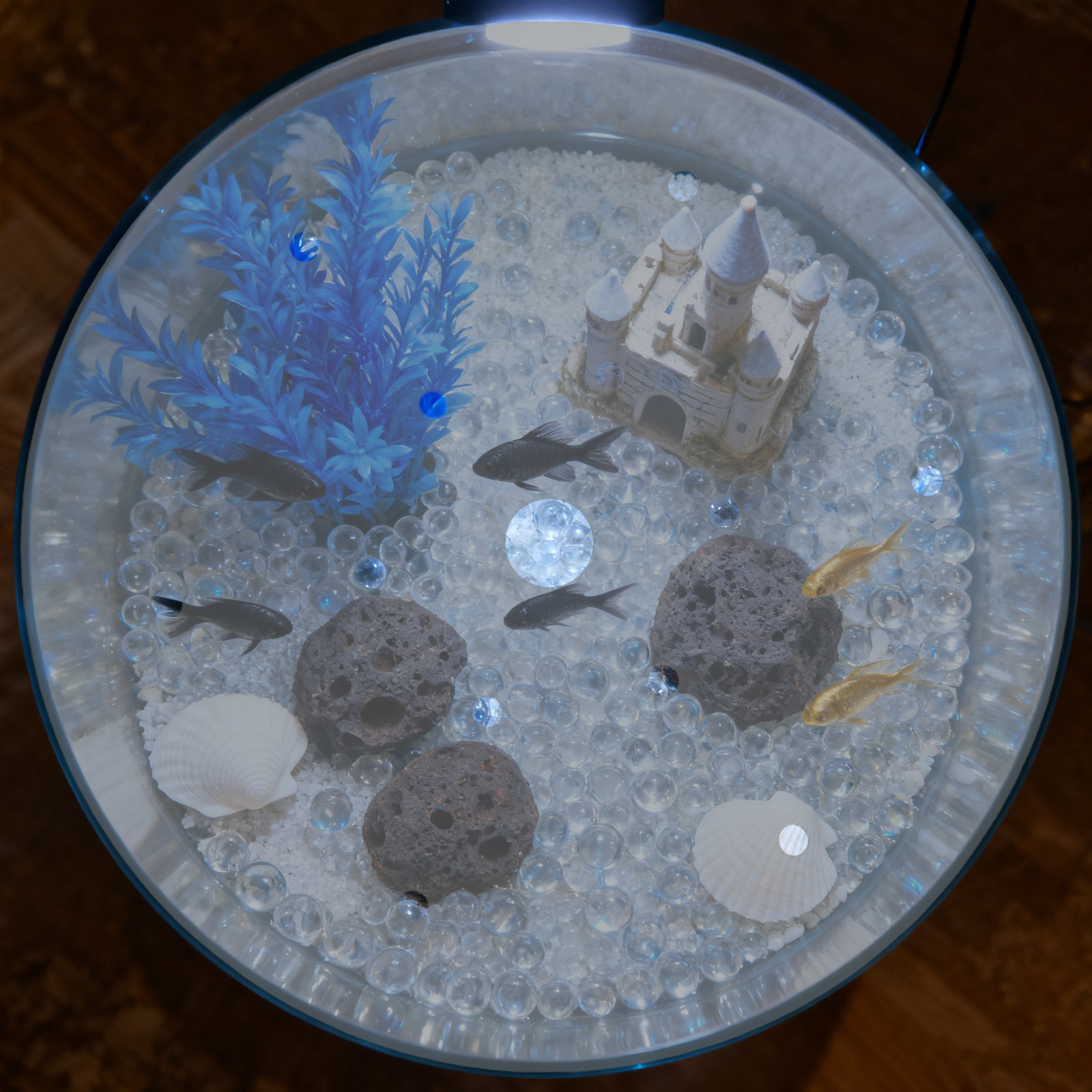 7 Inch Round Acrylic Fish Tank - Aquarium Fish Jar review and price