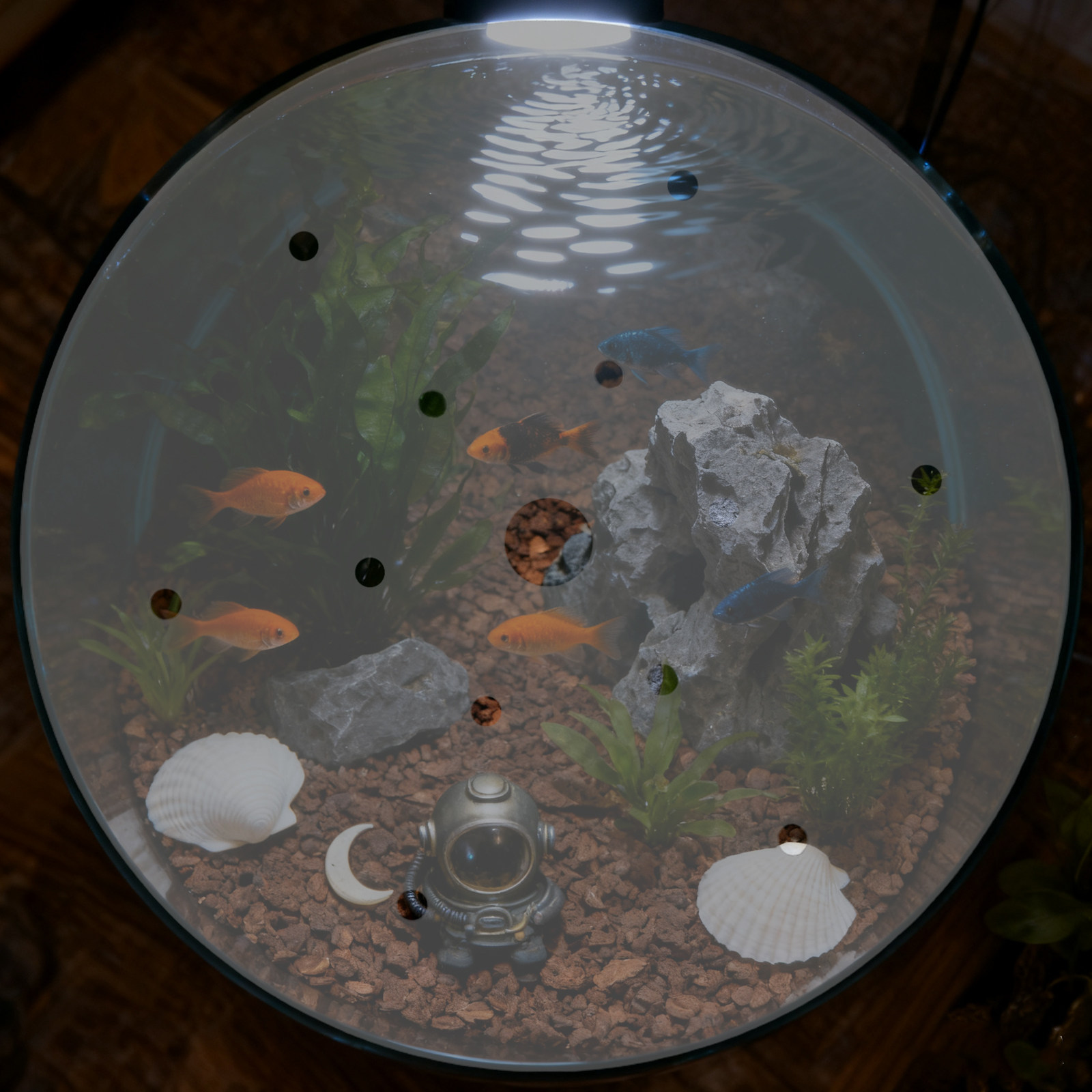 7 Inch Round Acrylic Fish Tank - Aquarium Fish Jar review and price